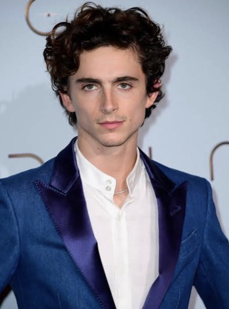 Imagen de la interpretación de Timothée Hal Chalamet
