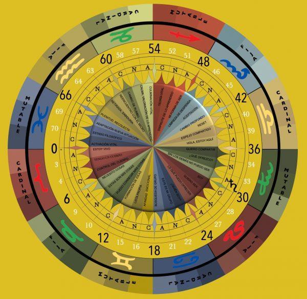 Tema 7: El punto de la edad
